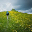 /Attachments/hikes/hiking-trogen-to-appenzell/female-backpacker-hiking-up-yellow-flowers-hill_hu861e053966caac52576ba3f38e241fed_327812_135x135_fill_q85_h2_catmullrom_smart1_2.webp