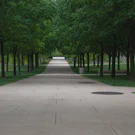 /Attachments/trips/goodbye-champaign/uiuc-campus-path-surrounded-by-trees_hub755fd872c93ff765f22705228a518a5_290990_135x135_fill_q85_h2_catmullrom_smart1_2.webp