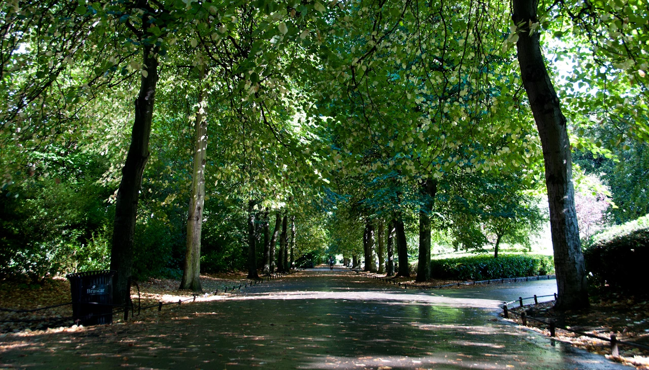 promenade-saint-stephens-green-park-dublin.webp