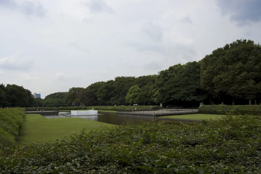 Avanzando en dirección al Museo Nacional de Tokyo se encuentra este enorme claro. Tokyo es una megalópolis pero con la cantidad de grandes parques la ciudad todavía puede respirar.