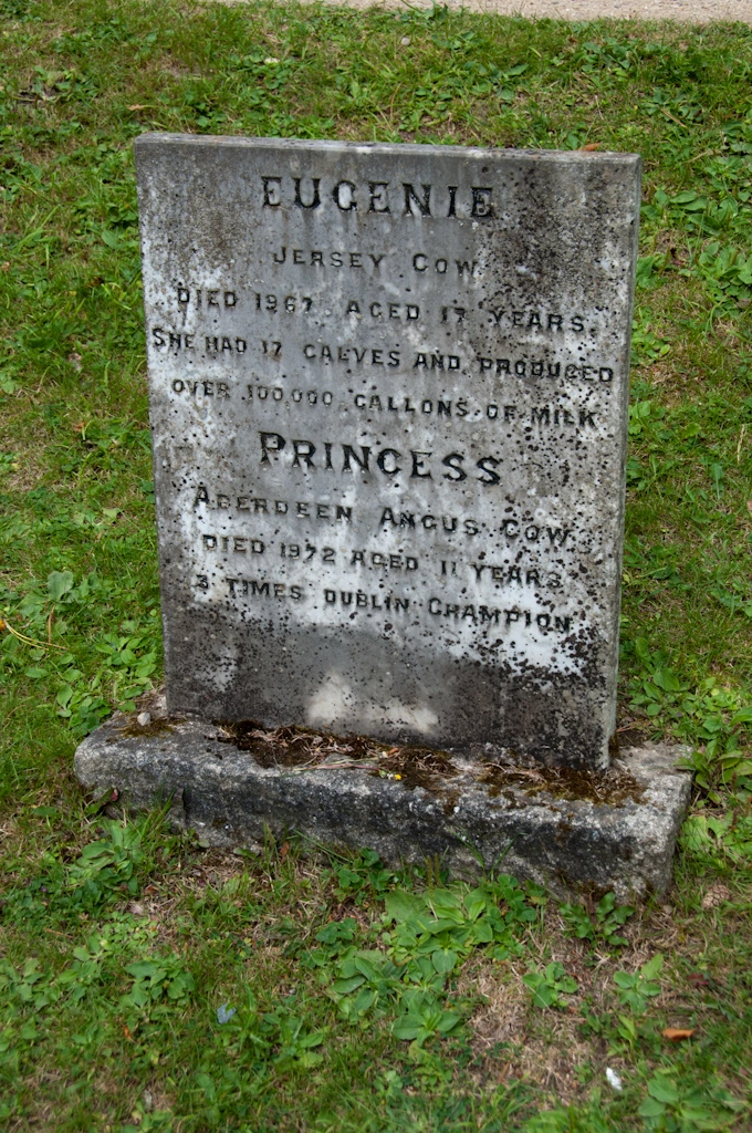 One of the tombs read: “Eugenie, Jersey Cow, Died 1967 aged 17 years. She had 17 calves and produced over 100,000 gallons of milk.”.