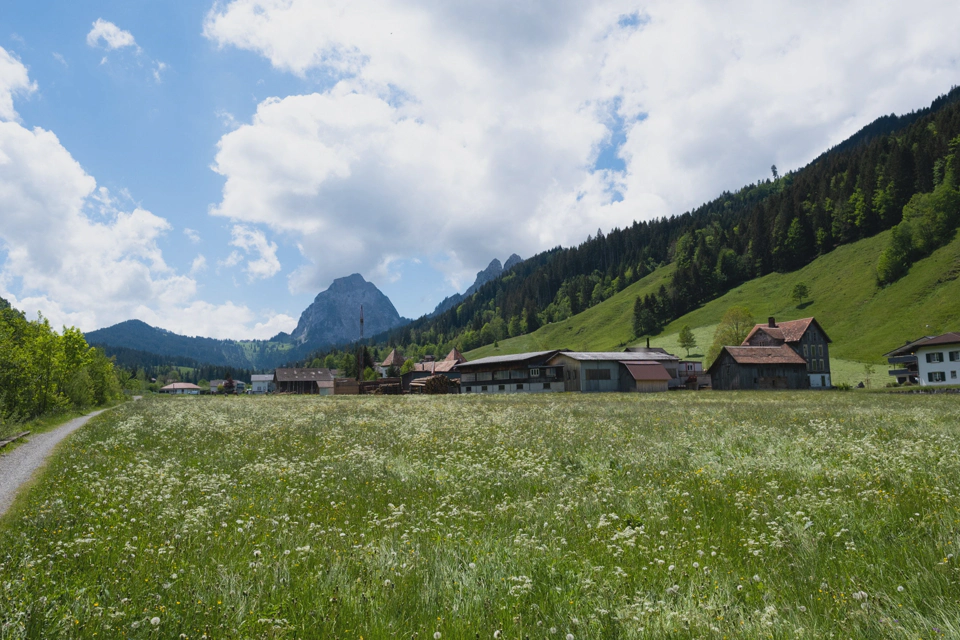 Kleiner Mythen and Alpthal seen from outside Trachslau.