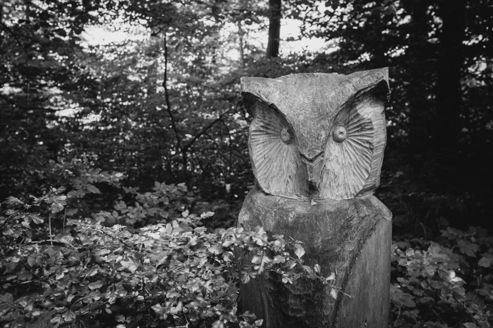 A wooden owl .