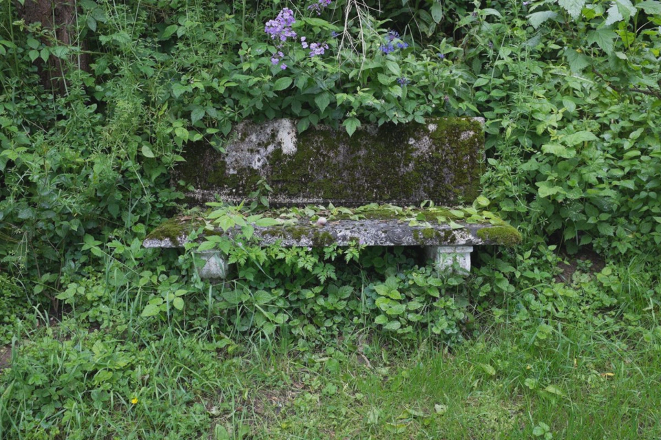 mossy-stone-bench-covered-with-plants.webp