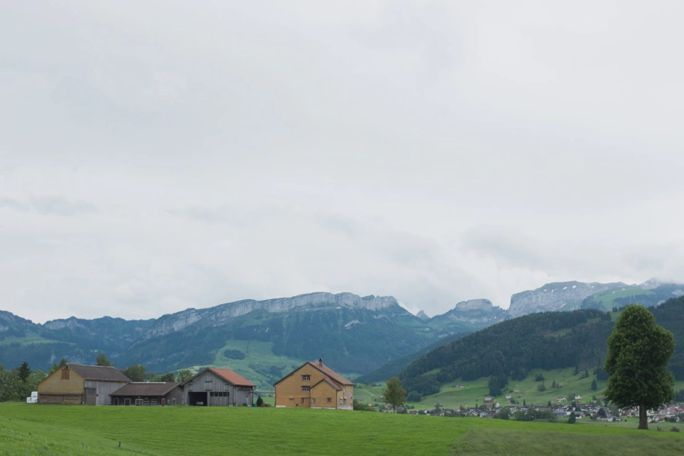 mountain-ridge-near-appenzell.webp