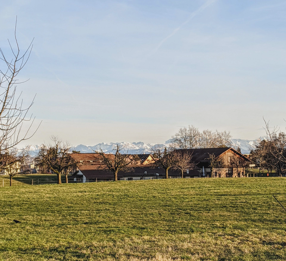 Kilchberg’s Stockengut farm, crested by the Alps.