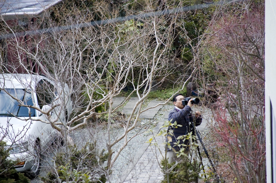 japanese-man-taking-a-picture-tripod-garden.webp