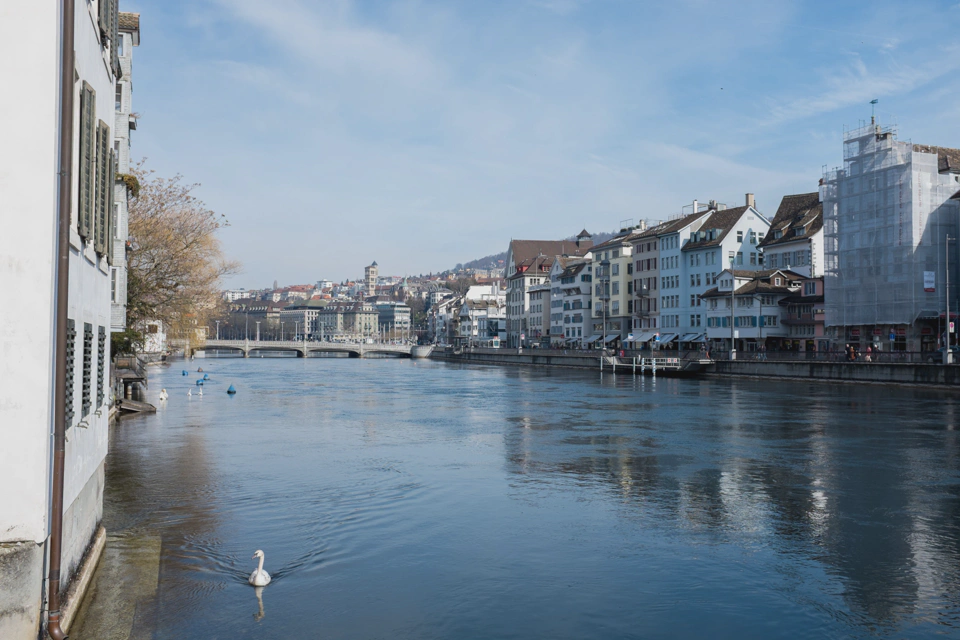 limmat-river-with-swans-in-winter.webp
