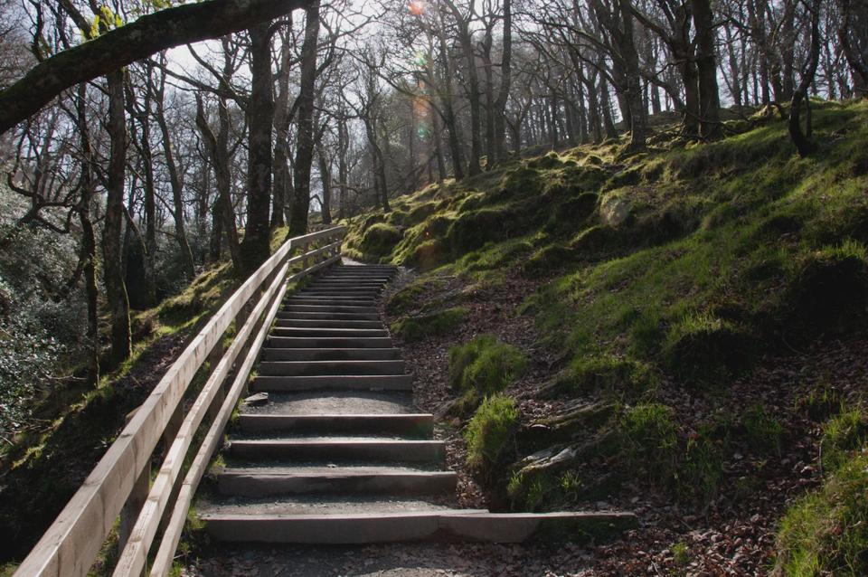 glendalough-trail-steps-magical-afternoon-light.webp