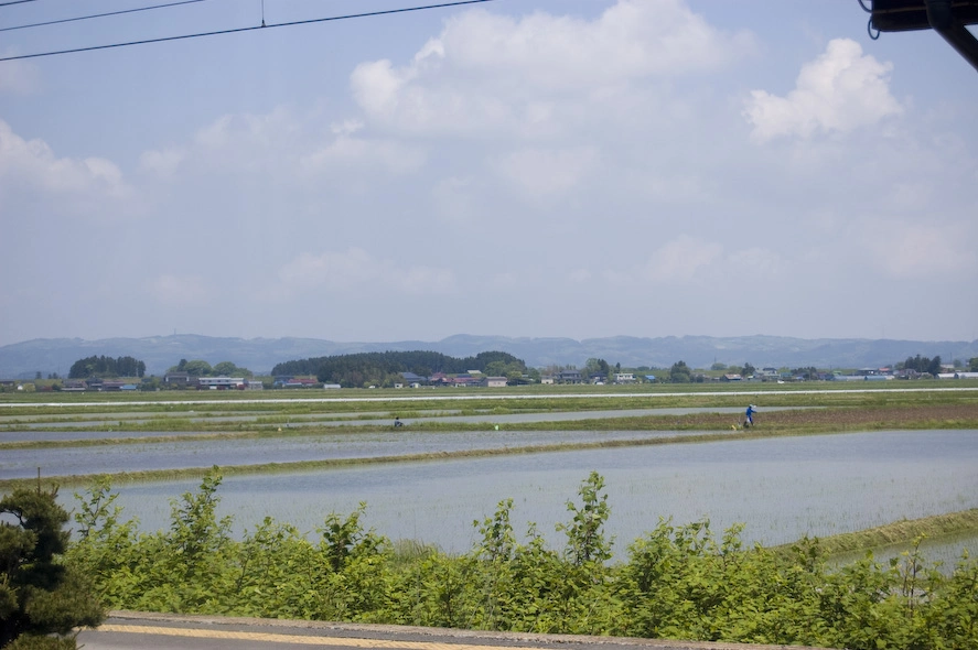 Más campos de arroz también cerca de Hiraizumi.