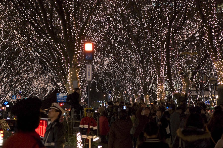  Durante las semanas de Navidad han iluminado de forma masiva una de las calles con más árboles en pleno centro de Sendai. La atracción se llama Pageant of Starlight (La Cabalgata de la Luz de las Estrellas) y se puede ver todas las tardes desde las cinco y media más o menos hasta las once o las doce.