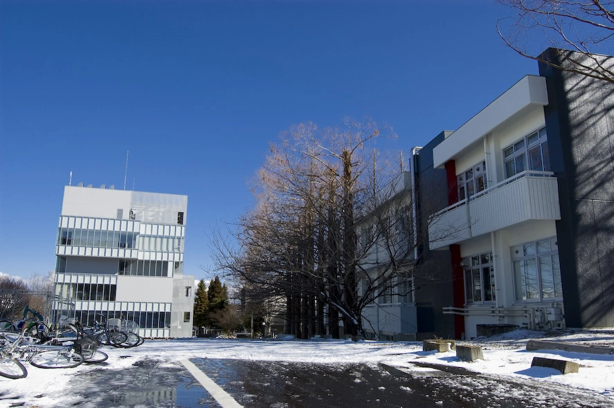 La zona norte de Kawauchi, cerca del centro de relaciones internacionales de la universidad.