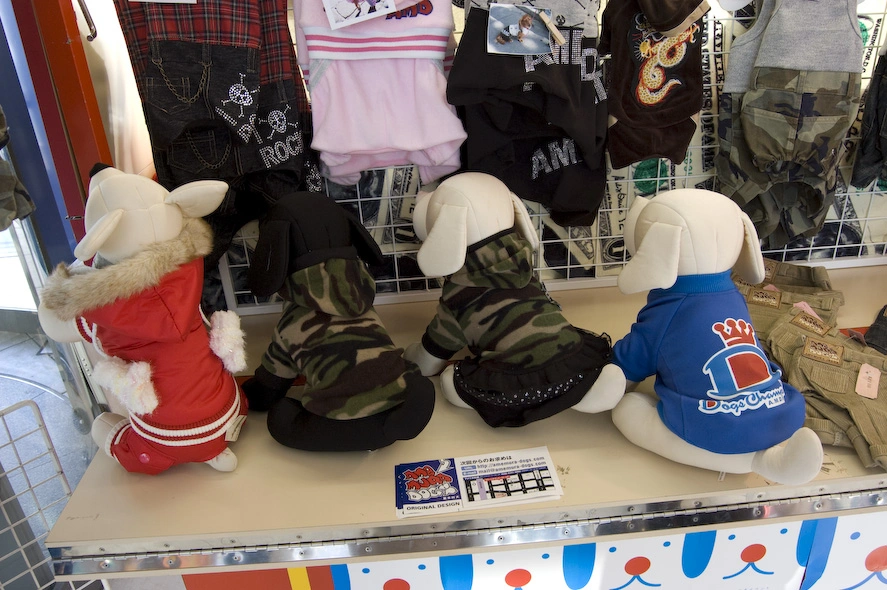 La última imagen es de una de las tiendas de una especie de centro comercial asiático que había por la zona. Sí, es todo ropa para mascotas.