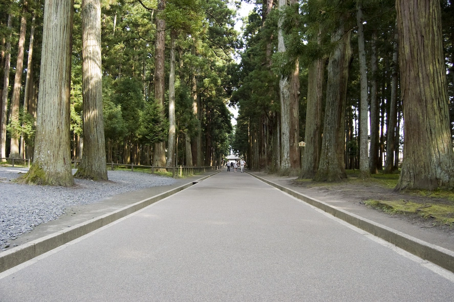 Los árboles de este recinto son enormes. En Japón me he encontrado frente a frente con los árboles más altos que he visto en mi vida. Y sí, Japón es también el país de los bonsáis.