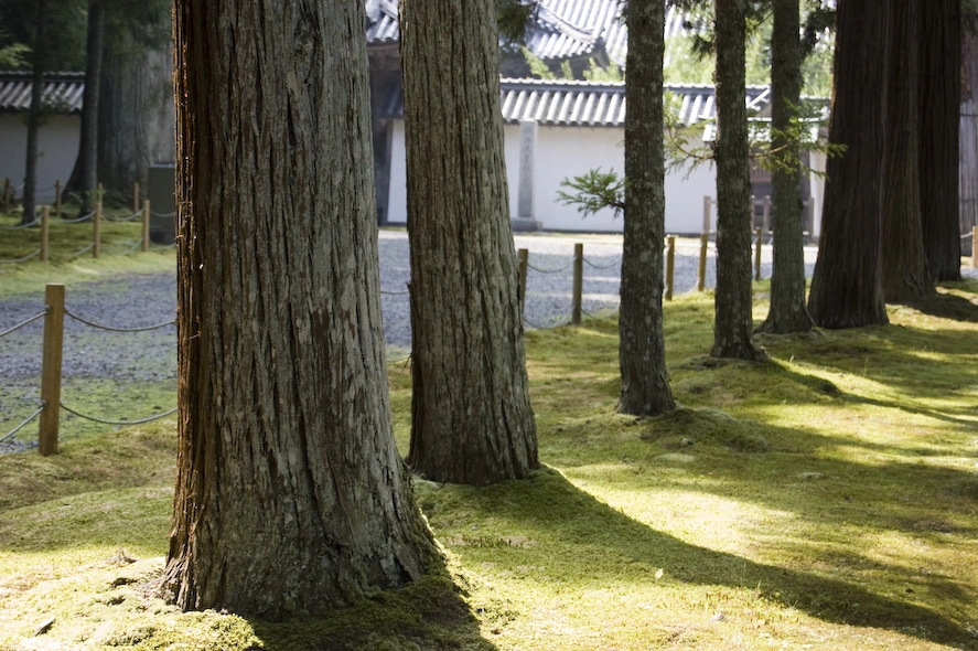 A las puertas de uno de los templos más famosos de Matsushima.